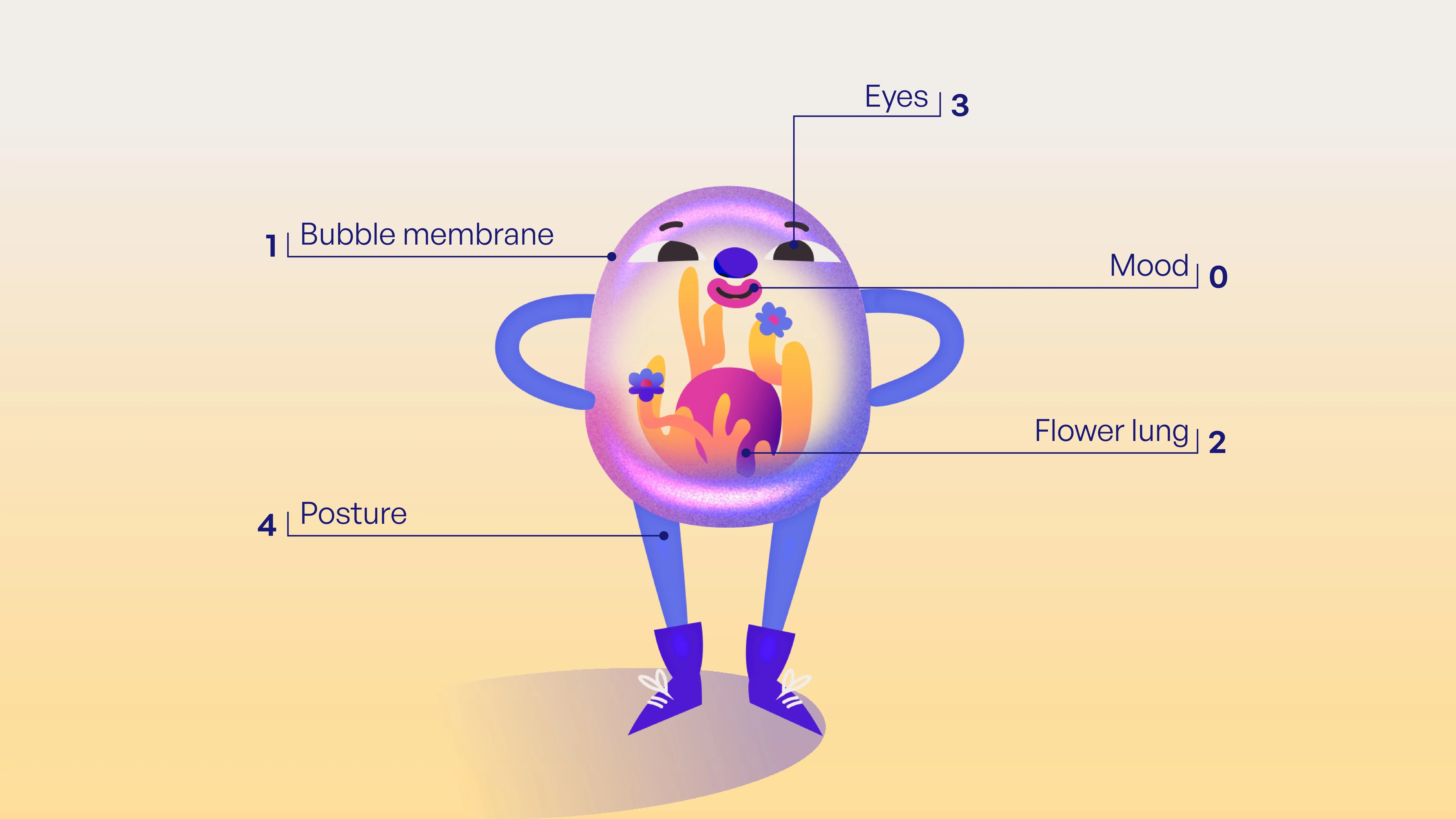 Nimbo anatomy — character